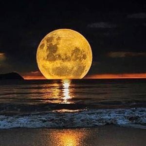 Meet your Posher, Kelli